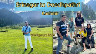 Srinagar to Doodhpathri - The Valley of Milk | Kashmir |Kashmiri food at Ahdoos, Srinagar