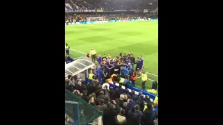 Guus Hiddink fell down on the ground after Chelsea 2 - 2 Tottenham fight