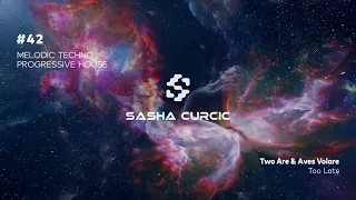 Sasha Curcic - Melodic Techno & Progressive House Mix Vol. 42