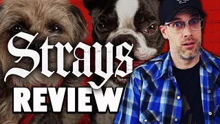 Strays - Review