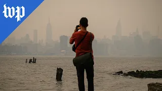 Canadian wildfire smoke blankets New York