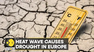 WION Climate Tracker: Europe bakes in 3rd heat wave since June | International News