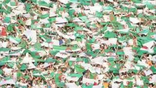 Allez les verts 0001