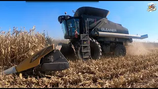 Corn Harvest 2023 with a Stealth Gleaner Super 7 Combine - St Henry Ohio