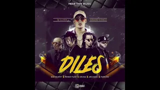 Diles Remix