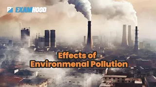 Effects of Environmental Pollution