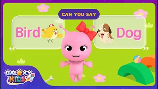 Let's Learn About Pets | Learn Animals for Kids in English | Kids English Learning App