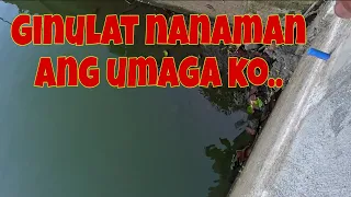 Isa nanamang malaking surpresa ang sumalubong sa amin | Patubig ulit ng palay