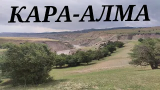 Жалал-Абад/Кара алма, эс алуучу жай,🌲🌳🌴☘️🍃🌿😎🤠💯🛌🏊🏖️🫕🍗🍖#жалалабад#ош#бишкек