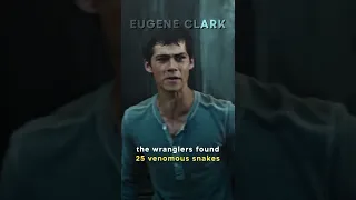 Did You Know in MAZE RUNNER…