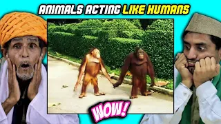 Villagers React To Animals Acting like Humans ! Tribal People React To Animals Acting like Humans