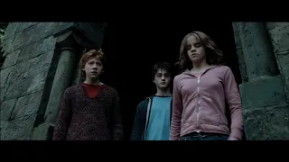 The scene from Harry Potter where Hermione punches Draco