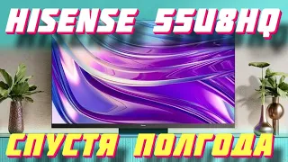 Телевизор Hisense 55U8HQ СПУСТЯ ПОЛГОДА