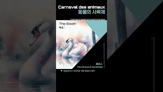 [클래식1분듣기]동물의사육제[The Carnival of the Animals]생상스[Saint-Saëns]클래식 음악 모음