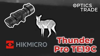 Roe Deer and a herd of Deer with Hikmicro Thunder Pro TE19C | Optics Trade See Through