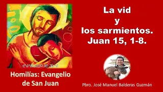 La vid y los sarmientos. Juan 15, 1-8.