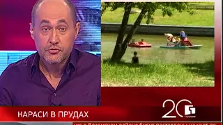 Губерния 20 лет. Новости 31/05/2018 GuberniaTV