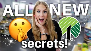 FAST HOME HACKS that beat Amazon! 😱🪄 Dollar Tree & Dollar General SPRING SECRETS!