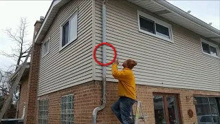 Raccoon Proofing My House