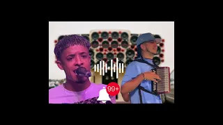 El Rubio Acordeon (hay mujeres, la cartera)canta dalexis tambora 🔥🔥🔥