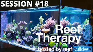 Different types of Saltwater Aquariums | Reef Therapy Podcast #18