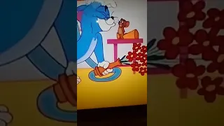 Tom And Jerry Calypso Cat