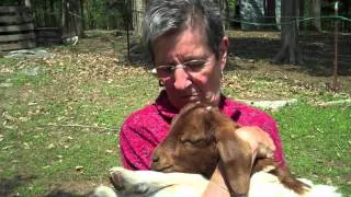 Farm Day in Tellico Plains