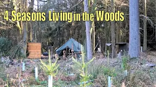 One Year in the Woods - Living in a Tent