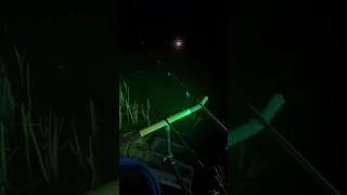 Рыбалка на фидер. Вот для чего нужен зеленый свет фонаря!