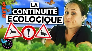 Les chemins du vivant | Marie Wild | Le Vortex #47