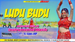 Ludu Budu Sag 🥰 || New Nagpuri Piano Instrumental Remix 🎹 || DJ SUNIL BRP Music 🎶