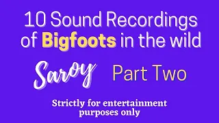 TRUE Bigfoot Sounds Recordings Screams and Howls | (MrBallen)