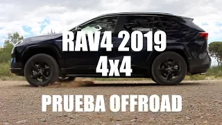 Prueba Offroad Toyota RAV4 2019 4x4