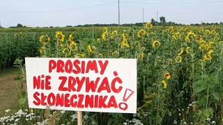 Niepublikowane wcześniej materiały z Przystanku Woodstock 2003, cz. 1