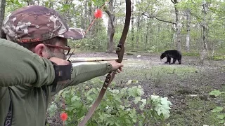 CLOSE RANGE DIY bear hunt with traditional archery gear over waterhole!