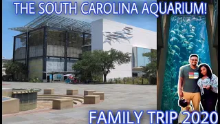 The South Carolina Aquarium in Charleston | Things To Do In Charleston | Family Trip 2020 |