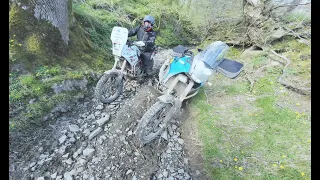 Tenere 700 - it's far more slippery than it looks!