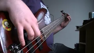 Nightwish - Wish I Had An Angel Live Bass Cover