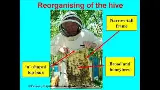 Effective Innovative Beehive of Vasyl Priyatelenko, Ukraine