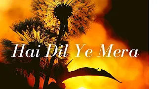 Hai Dil Ye Mera 8D I Full Video Song | Arijit Singh | Hate Story 2 | Jay Bhanushali, Surveen Chawla