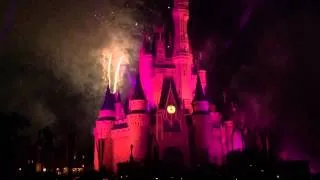 Año Nuevo en Magic Kingdom Disney (31-12-2014)