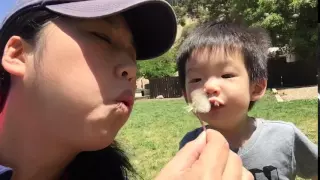 Blowing dandelions with EJ