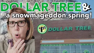 COME WITH ME TO DOLLAR TREE | BAKE WITH US |DOLLAR TREE SHOPPING| #dollartree