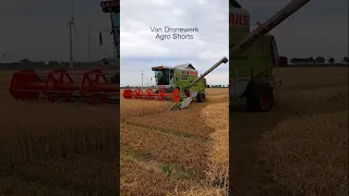 Claas Dominator 218 Mega - winter barley harvest 2023 😎