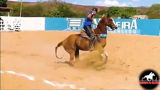 Se não Tivesse Pandemia   Pisadinha Do Vaqueiro Vaqueiro Do Sertão #OFICINA DE MUSICA