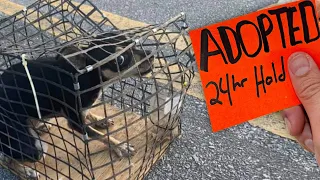 Dog Locked in Crate 5 Years gets Family!