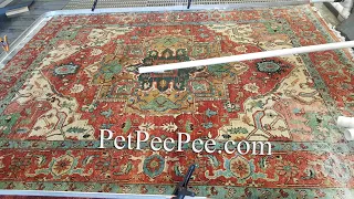 A Professional Oriental rug Cleaner