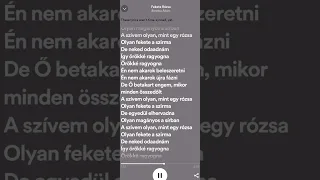 Beretka Ádám - Fekete Rózsa [sped up+lyrics]