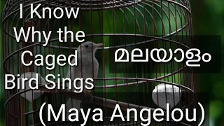 I know why the caged bird sings, summary in malayalam by maya Angelou, malayalam summary caged bird