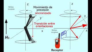 ¿El Fundamento de la RMN? Pero si es muy fácil. Aprende RMN conmigo